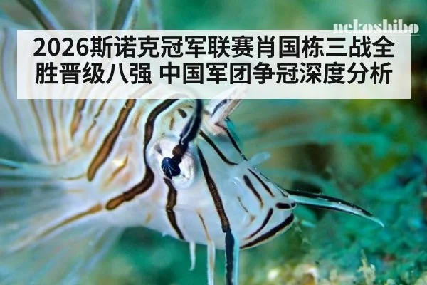 2026斯诺克冠军联赛肖国栋三战全胜晋级八强 中国军团争冠深度分析