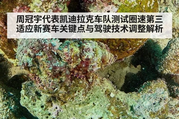 周冠宇代表凯迪拉克车队测试圈速第三 适应新赛车关键点与驾驶技术调整解析